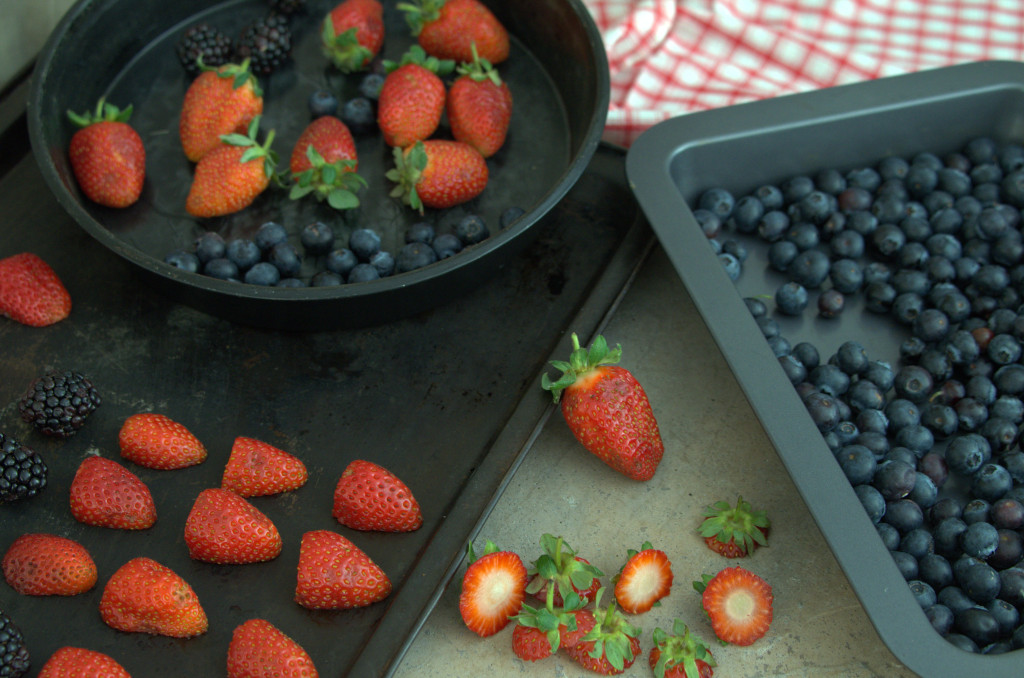 Save Berries by Freezing them.