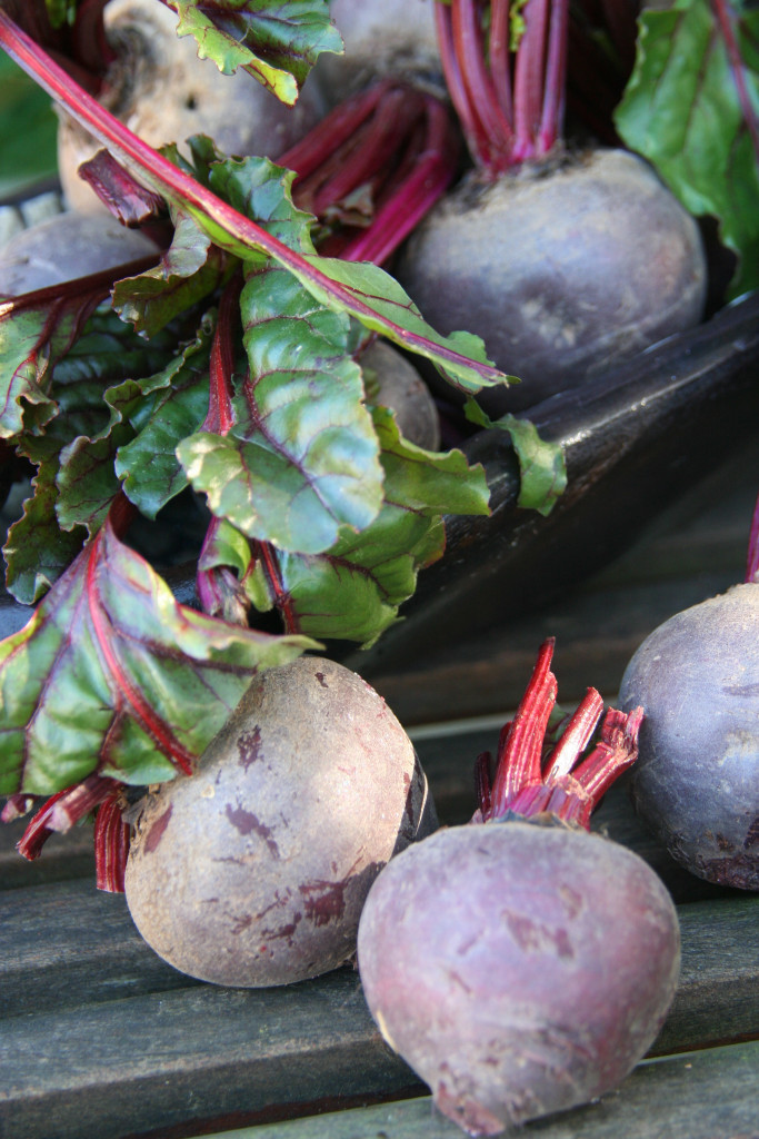Beetroot from the garden